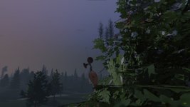 IMG_3419.jpeg