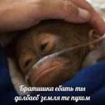 1764866815876.png
