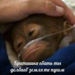 1765895248503.png 1765895248503.png