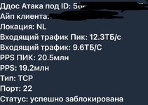 IMG_8800.jpeg IMG_8800.jpeg